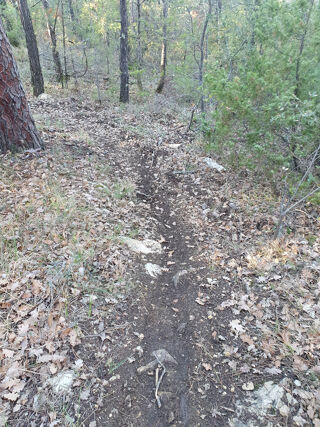  Terrain � vendre 20000 m�