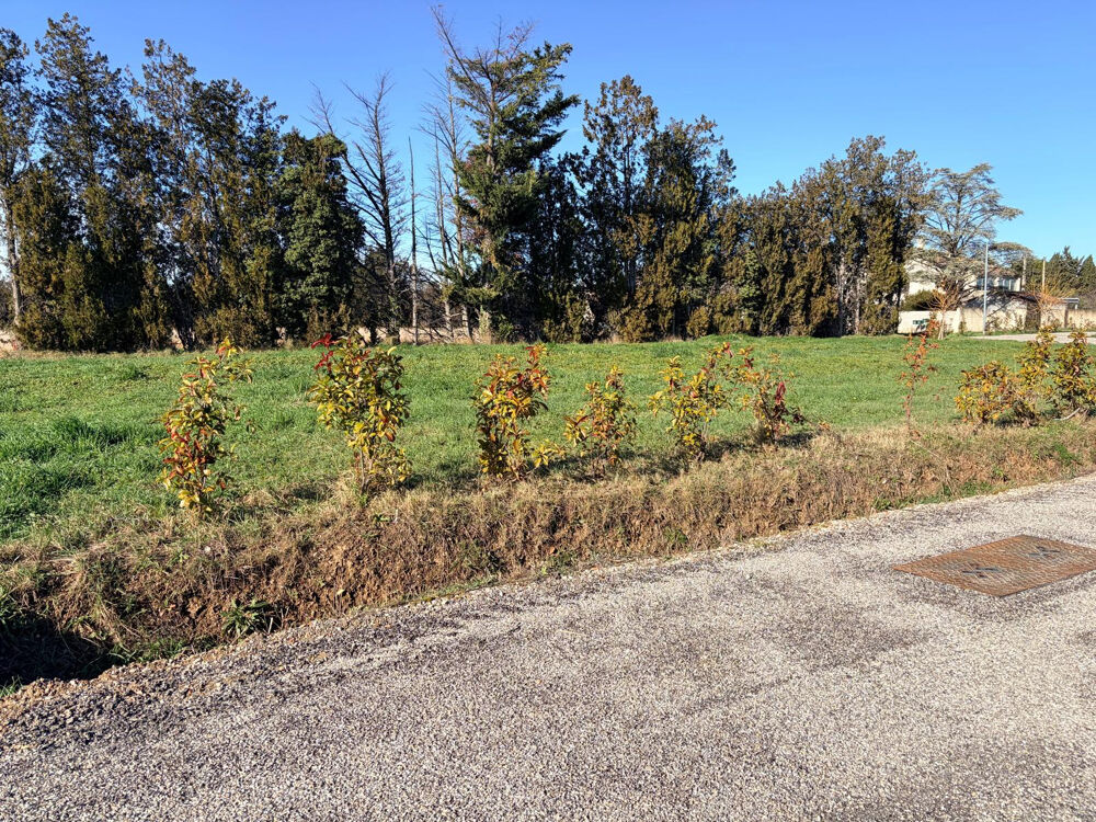 Vente Terrain TERRAIN A BATIR VIABILISE L isle sur la sorgue
