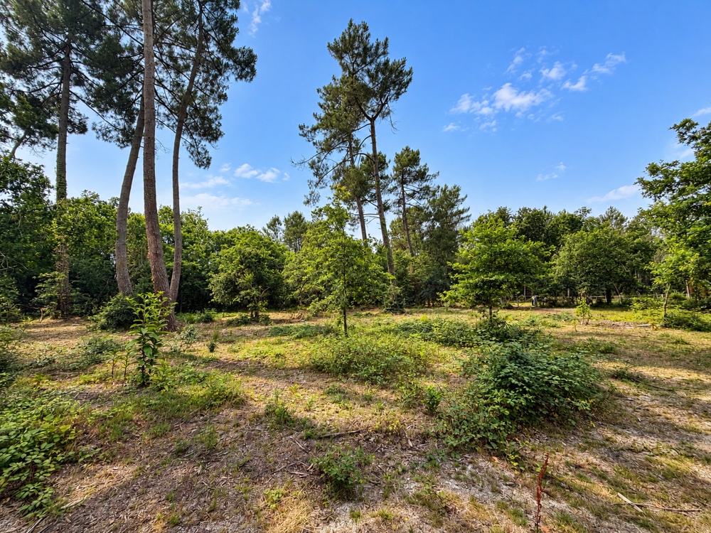 Vente Terrain Terrain constructible de 1100m2 Le barp
