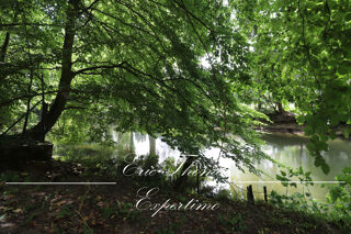  Terrain  vendre 1529 m