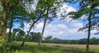  Terrain � vendre 656 m�