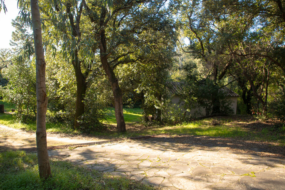 � vendre  Propri�t�/ch�teau Sari-Solenzara (20145)