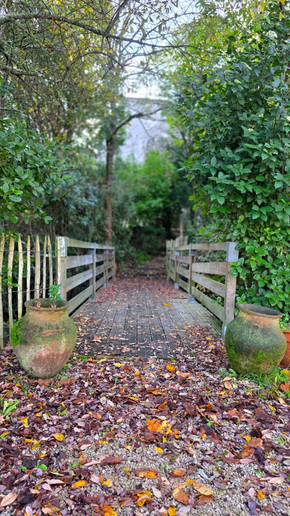 � vendre  Propri�t�/ch�teau Lagraulet-du-Gers (32330)