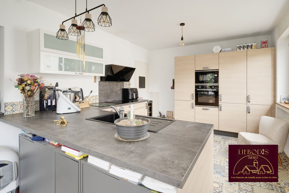 Vente Maison Maison ifamiliale de 190m2 avec grand terrain et sous-sol complet Bayon