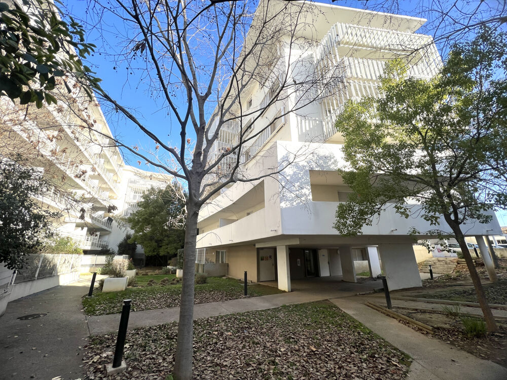 Location Appartement Montpellier (34) STUDIO 28 m2 avec terrasse de 10 m2 Montpellier