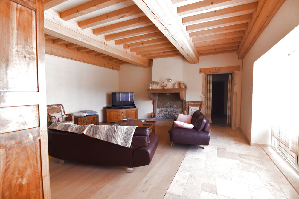 Vente Maison à vendre proche  MÂCON ( AIN) ,maison rénovée de  220 M2  P7 - joli terrain - gîte possible Grieges