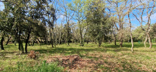  Terrain  vendre 1200 m