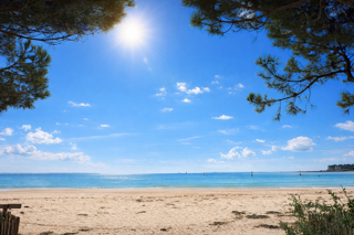  Appartement � vendre 2 pi�ces 33 m�