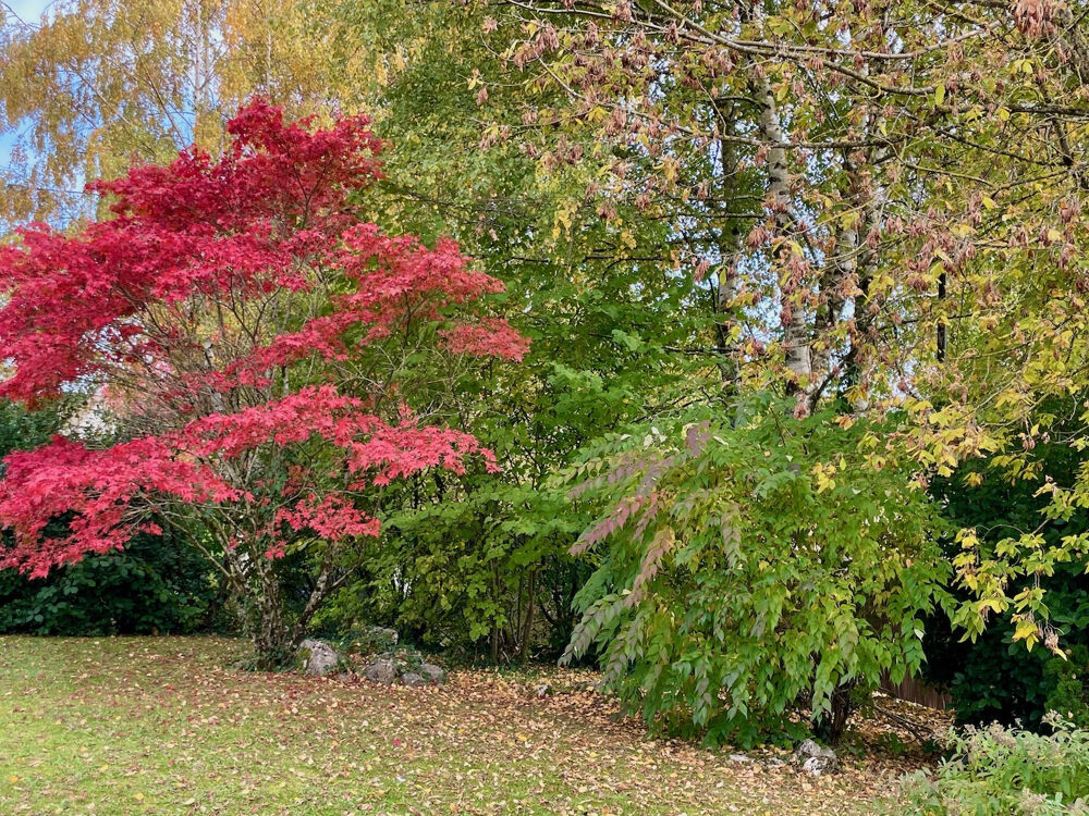  vendre  Maison Divonne-les-Bains (01220)