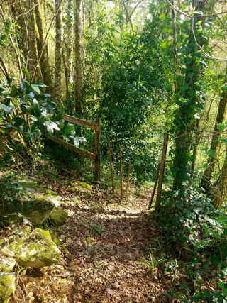  Maison � vendre 5 pi�ces 165 m�