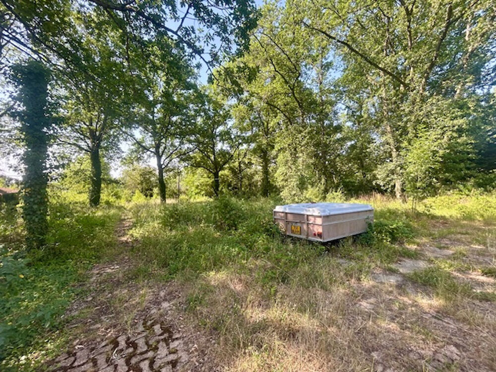 Vente Propriété/Château MONTLHERY - TERRAIN DE 5 000 M2 avec DEUX MAISONS ÉDIFIÉES - GROS TRAVAUX À PRÉVOIR + TERRAINS EN + Montlhery