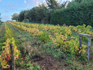  Terrain  vendre 1717 m