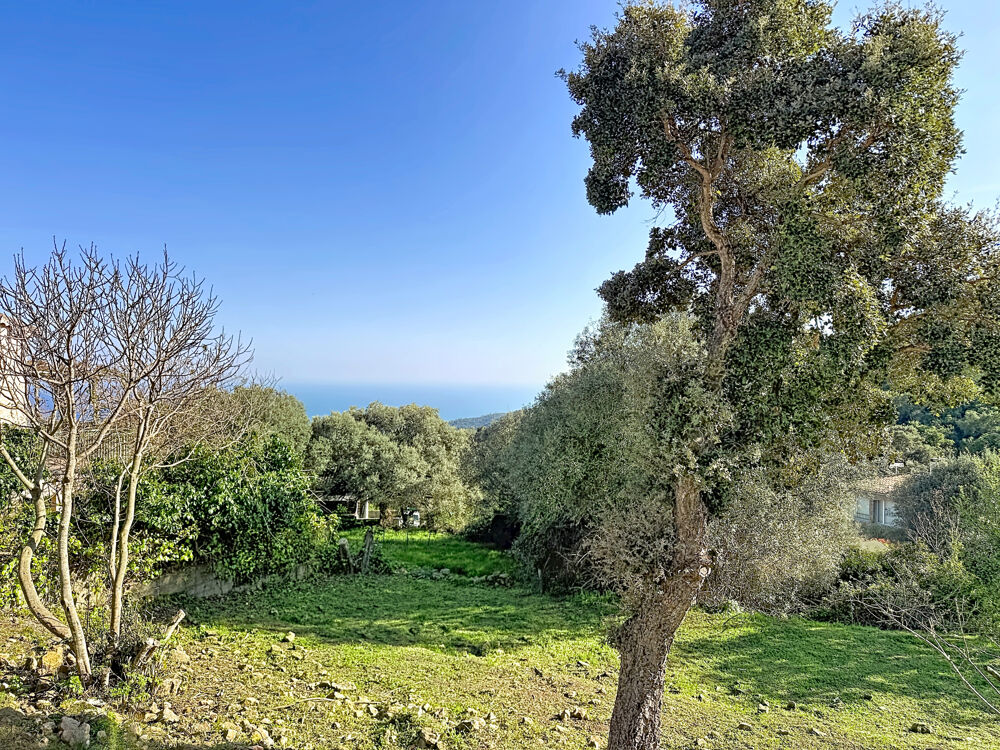 Maison T2 Vue mer depuis séjour Plein sud Sari-Solenzara