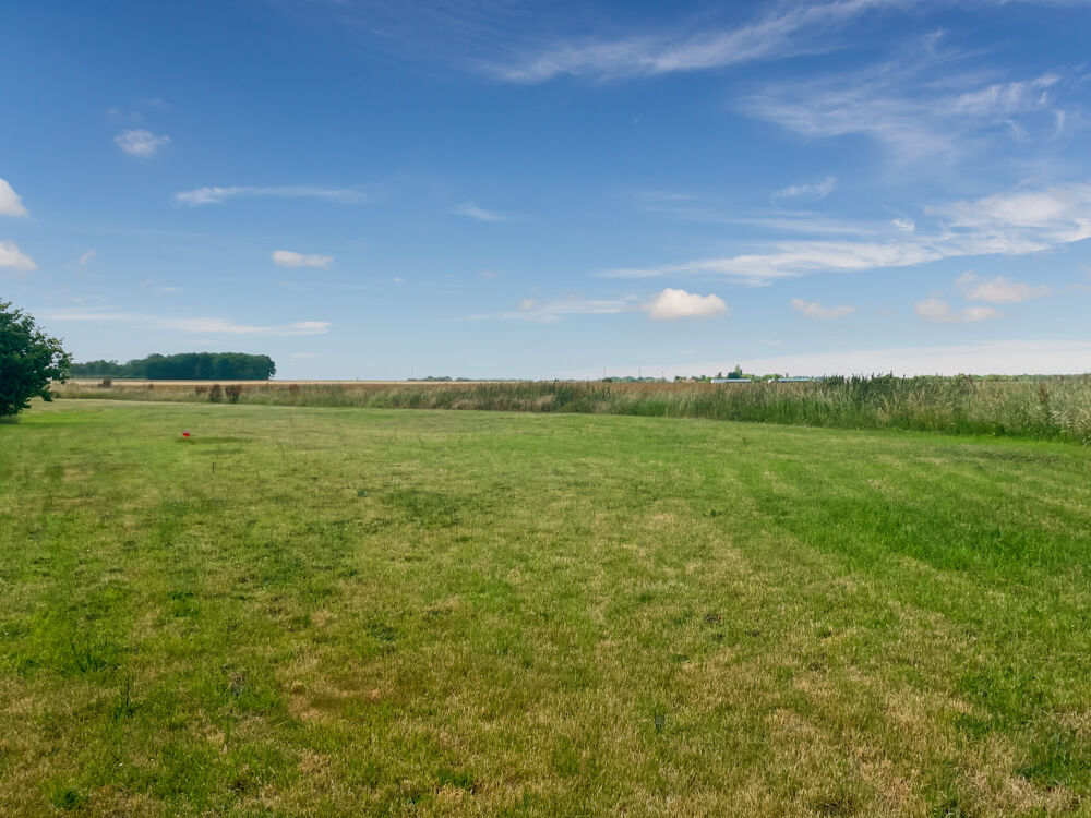Vente Terrain Terrain � vendre   Belle opportunit� � saisir Aviron