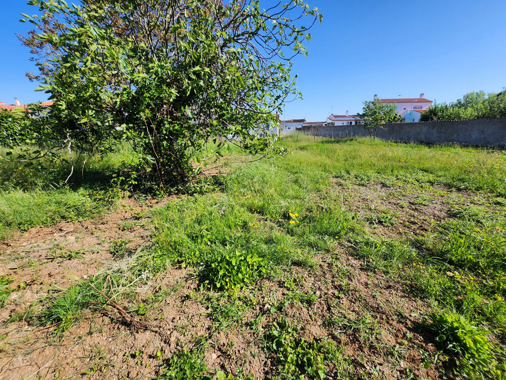 Vente Terrain Terrain constructible totalement clos non viabilisé Les magnils reigniers