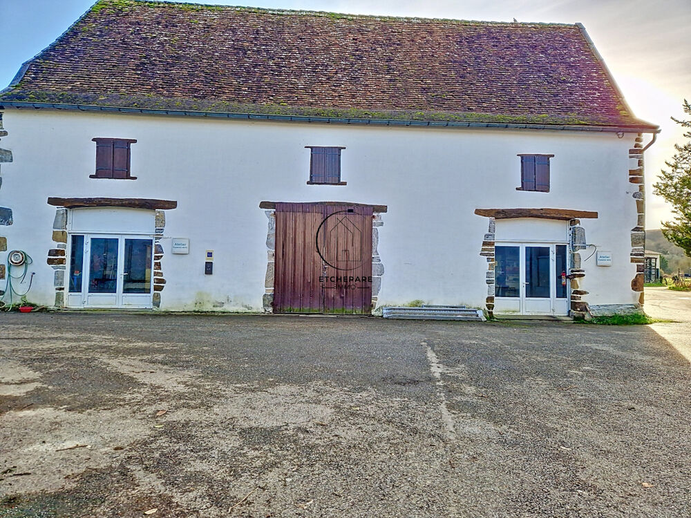  vendre  Proprit/chteau Espiute (64390)