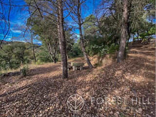  Terrain � vendre 3004 m� Oms