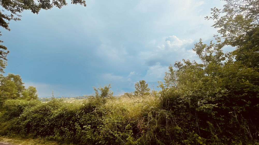 Vente Terrain Terrain de loisirs de 2880 m2 avec vue dégagée sur la nature 18 000 € Provency