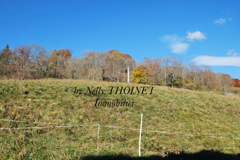 Vente Terrain Dépt.63, EGLISENEUVE D'ENTRAIGUES, TERRAIN à bâtir de 2547 m2 Egliseneuve d entraigues