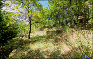  Terrain � vendre 1000 m�