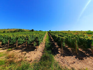  Terrain � vendre 56300 m�