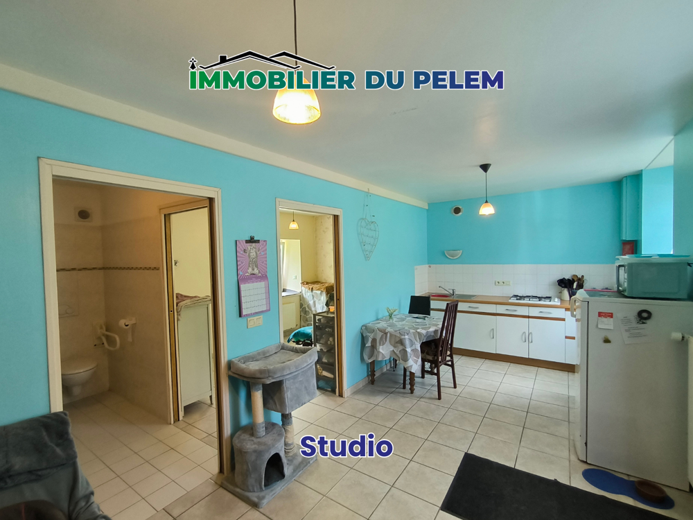 Qu'allez-vous faire de cet ancien moulin à Locarn ?