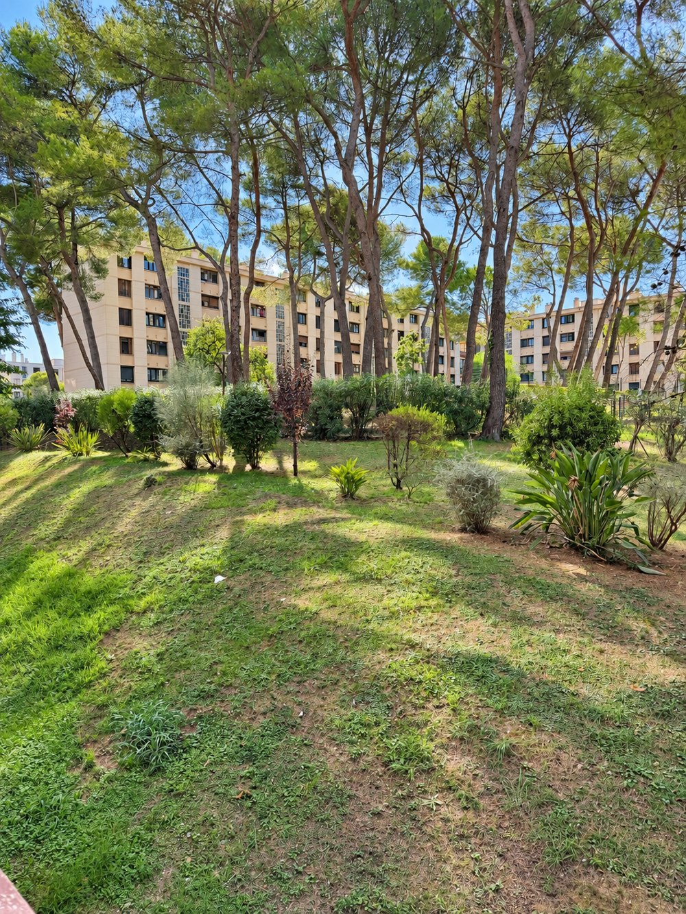 vente Appartement - 3 pièce(s) - 51 m² Le Cannet (06110)