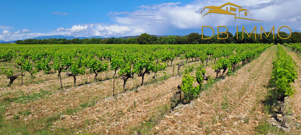 Vente Terrain Parcelles de vigne sur 5,59 ha Vaucluse / Drôme (Cairanne - Rochegude - Ste Cécile des Vignes et Suze la Rouss Ste cecile les vignes