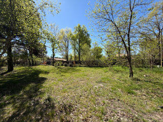 Terrain à vendre 800 m²