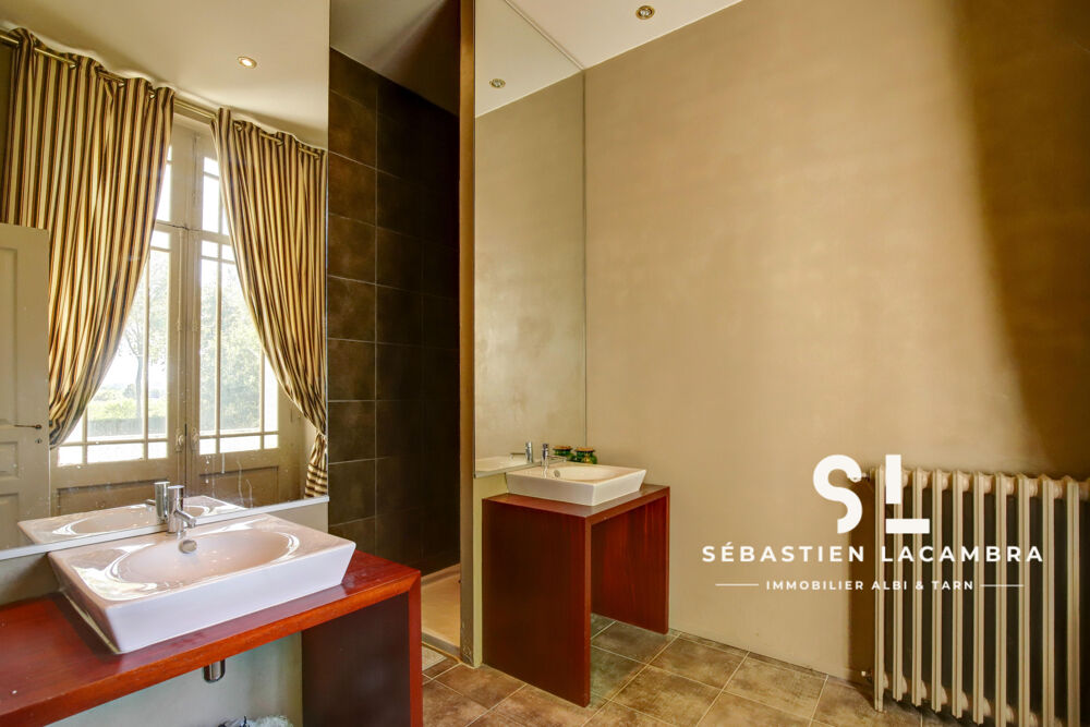  vendre  Proprit/chteau Rivires (81600)