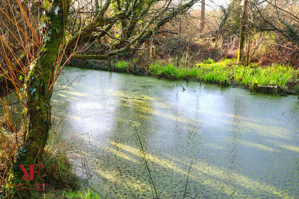 � vendre  Maison Dirinon (29460)