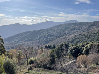  Appartement � vendre 5 pi�ces 120 m�