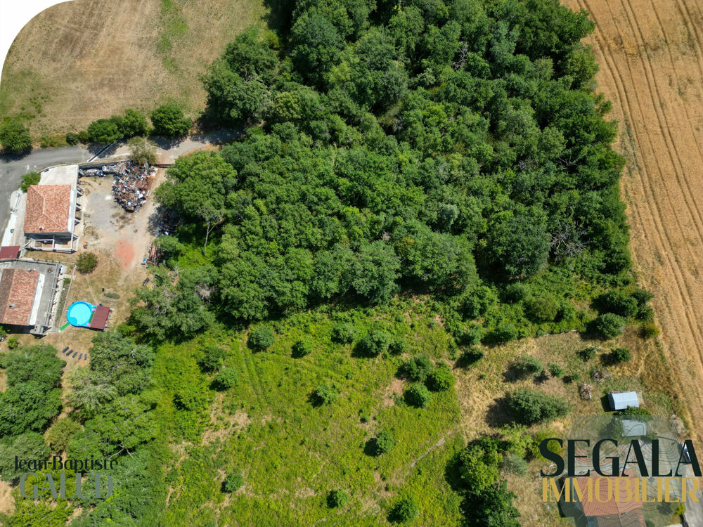 Vente Terrain Terrain constructible de 4 526 m2 à Mirandol-Bourgnounac Mirandol bourgnounac