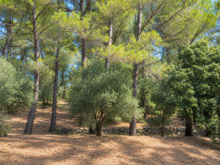 Terrain à vendre 1263 m²