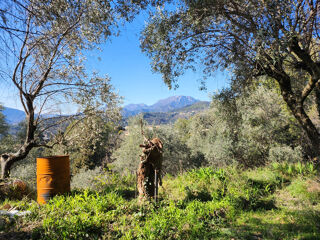  Terrain � vendre 3830 m�