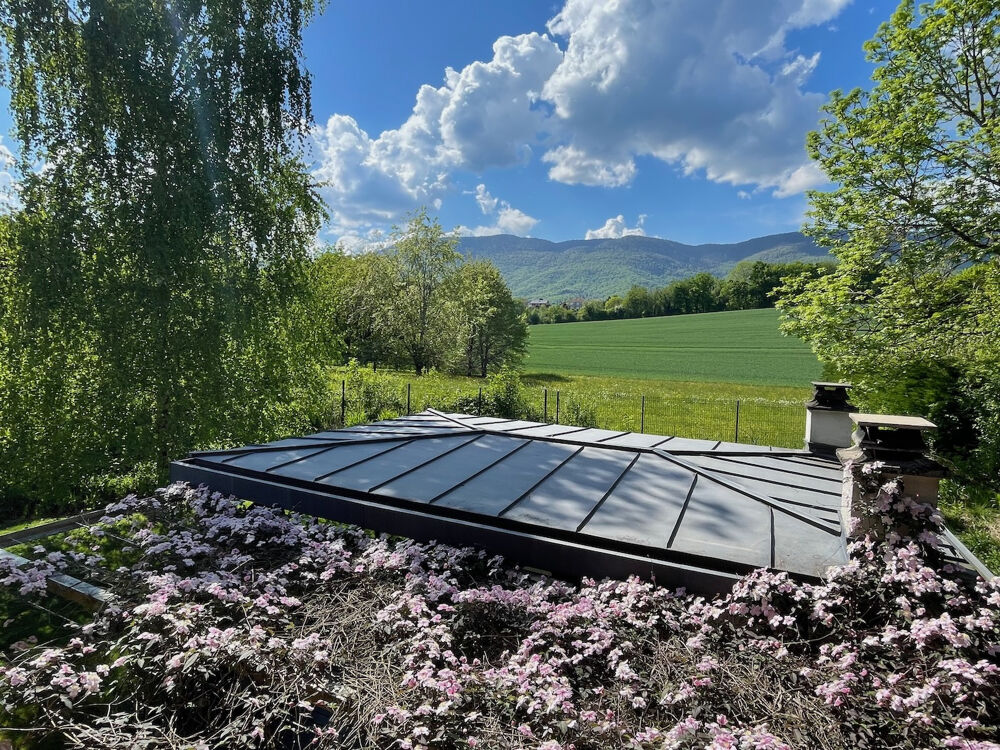 à vendre  Propriété/château Divonne-les-Bains (01220)