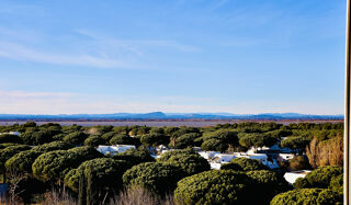  Appartement  vendre 4 pices 85 m