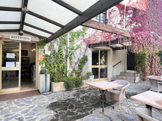  Propriété/château à vendre 15 + pièces 351 m²