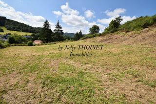  Terrain � vendre 2881 m�