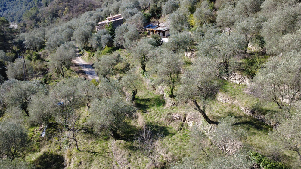 Maison mitoyenne avec piscine dans les oliviers
