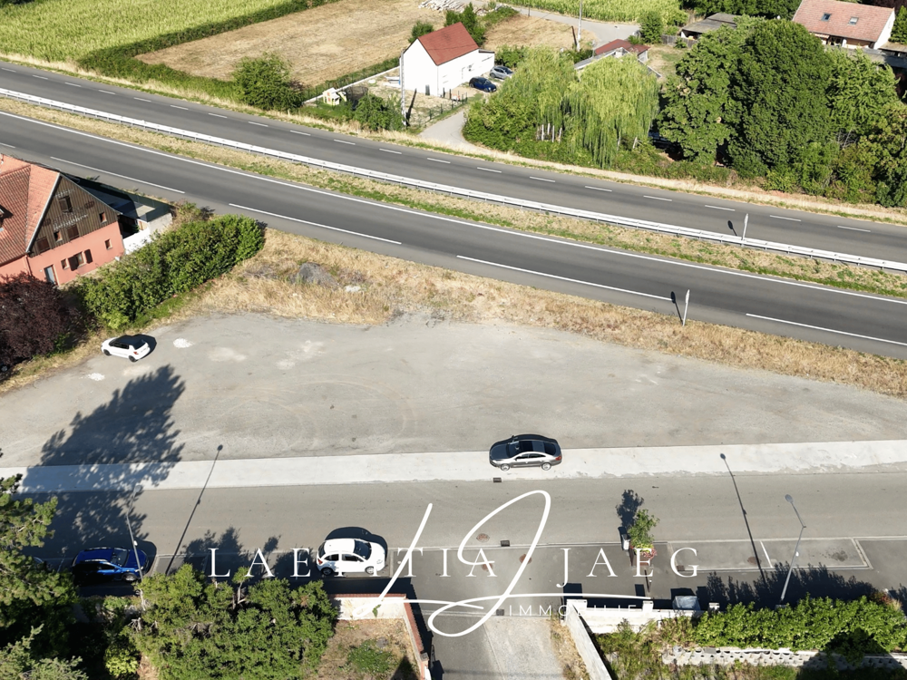 Vente Terrain KOGENHEIM   12,23 ARES CONSTRUCTIBLES   BELLE OPPORTUNITÉ Kogenheim