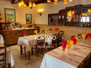  Propri�t�/ch�teau � vendre 15 + pi�ces 521 m� Guillaumes