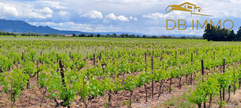 Vente Terrain Parcelles de vigne sur 5,59 ha Vaucluse / Drôme (Cairanne - Rochegude - Ste Cécile des Vignes et Suze la Rouss Ste cecile les vignes