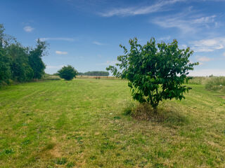  Terrain à vendre 1731 m²
