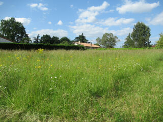  Terrain � vendre 1203 m� Villemade