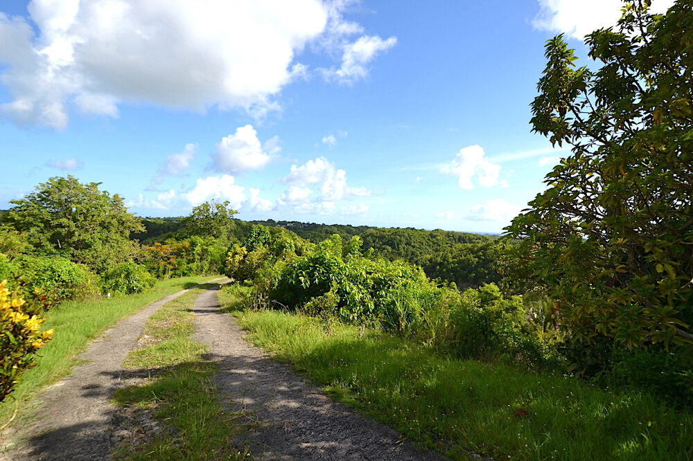 � vendre  Maison Le Gosier (97190)