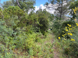  Terrain � vendre 1500 m�