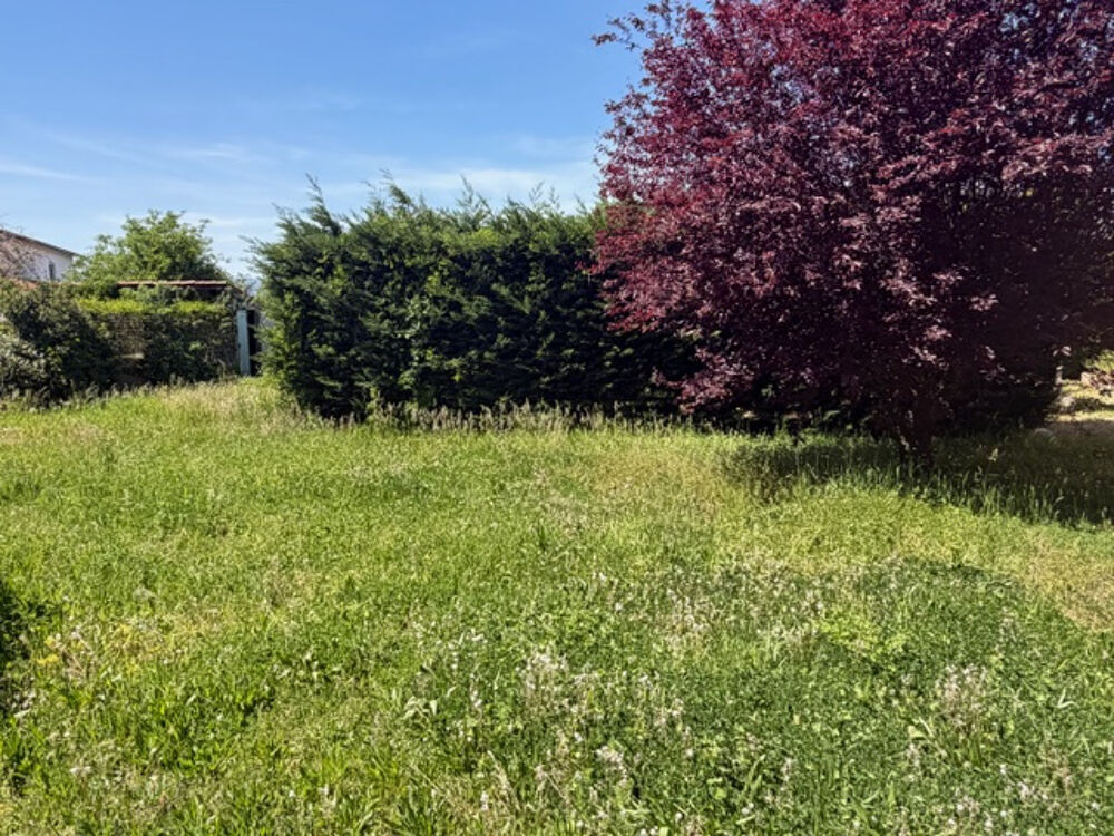 Vente Maison MAISON FAMILIALE AVEC FORT POTENTIEL TERRAIN CONSTRUCTIBLE DE 1700M2 Bonson