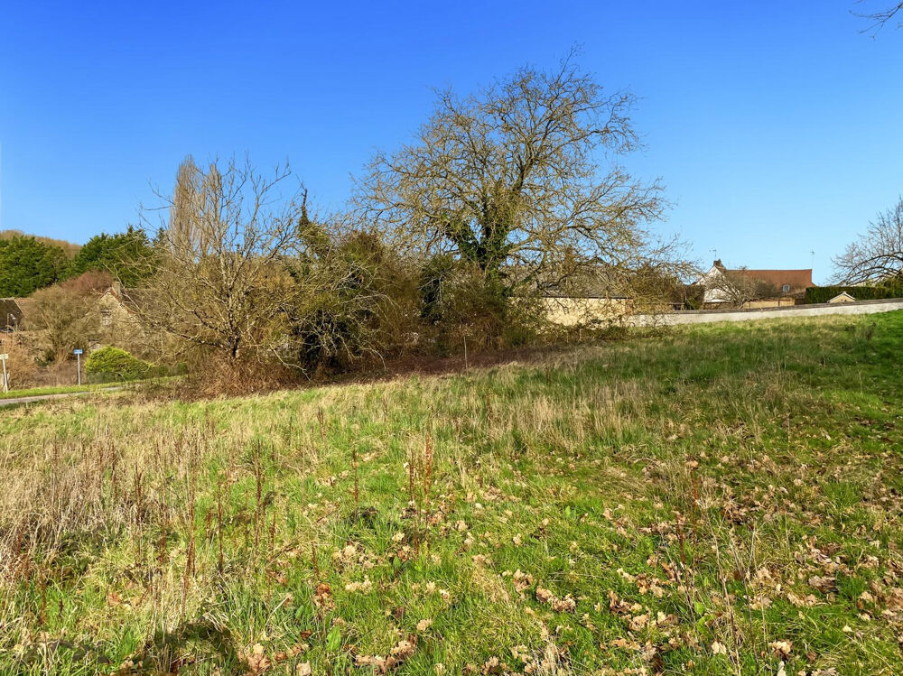 Vente Terrain COURTENAY Courtenay