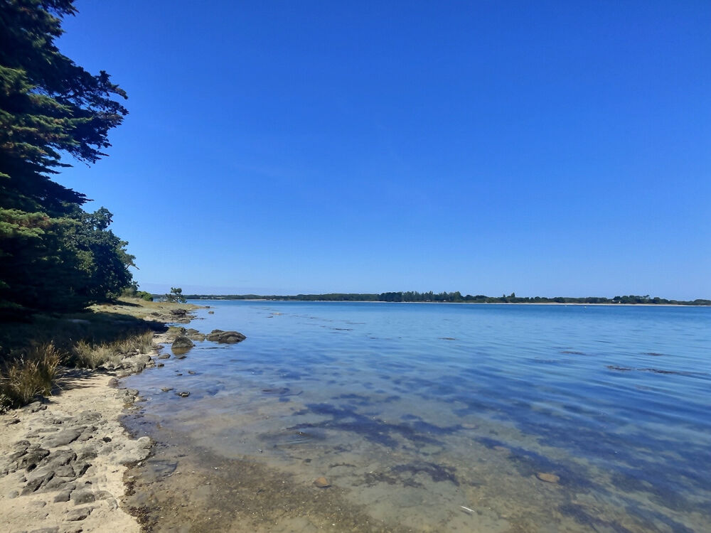 � vendre  Propri�t�/ch�teau Pont-l'Abb� (29120)